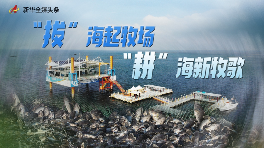 鸿坤鳄鱼养殖